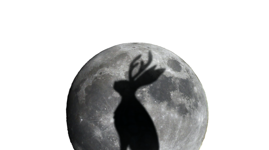 Blackout Theatre Company