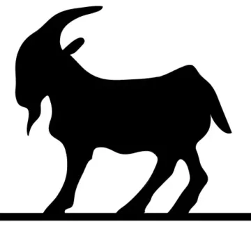 Goat in the Road Productions